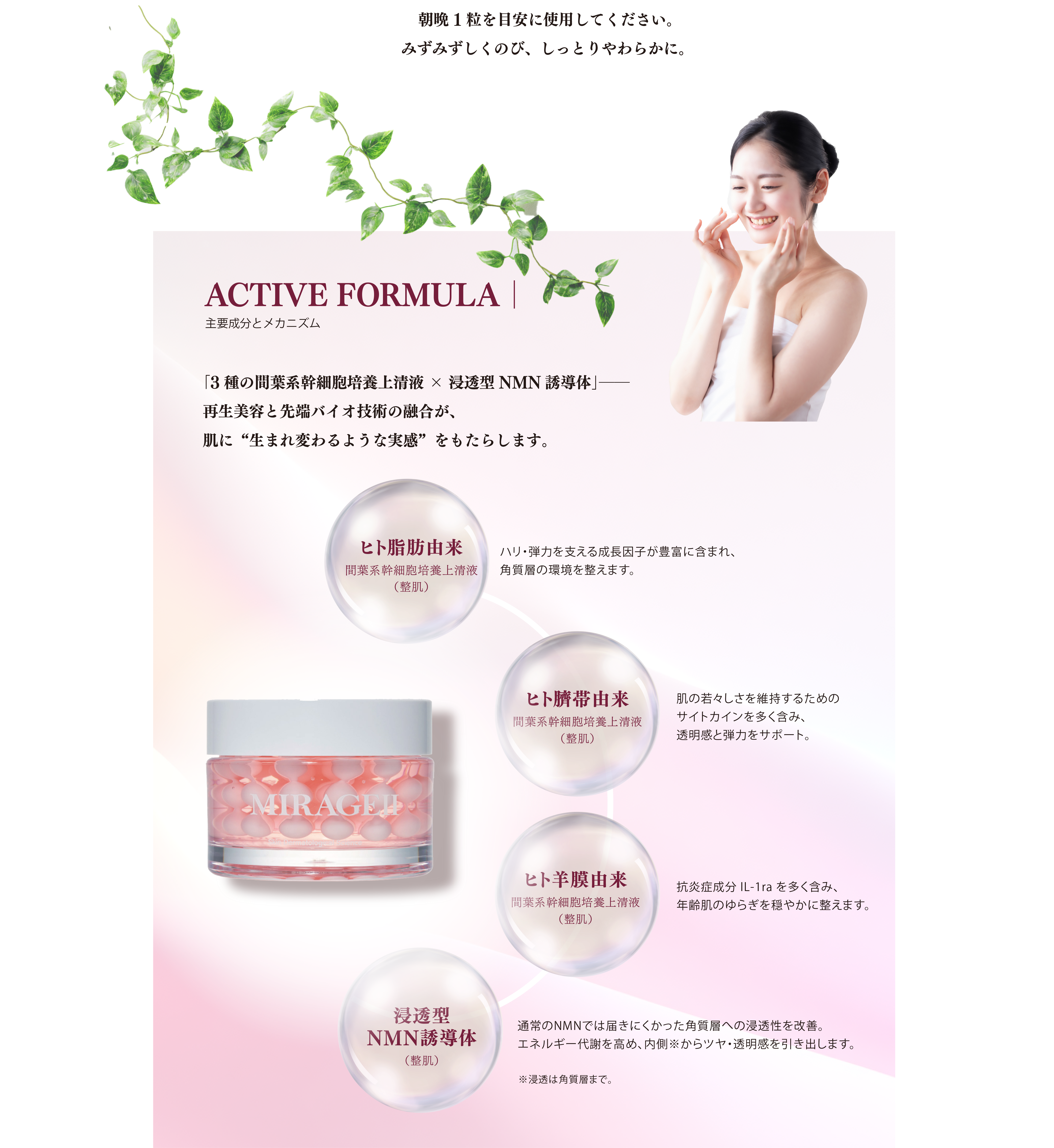 ACTIVE FORMULA｜主要成分とメカニズム