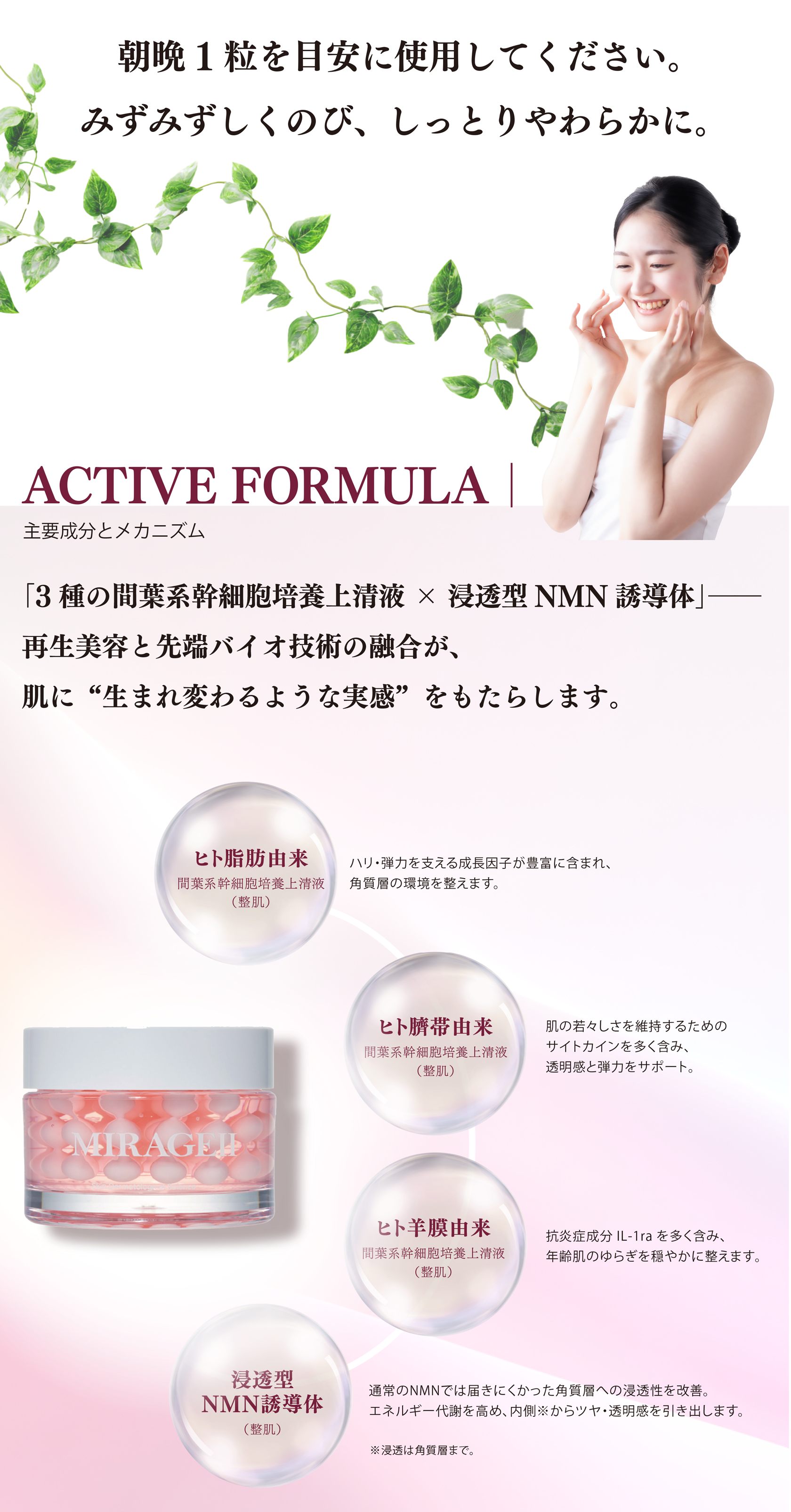 ACTIVE FORMULA｜主要成分とメカニズム