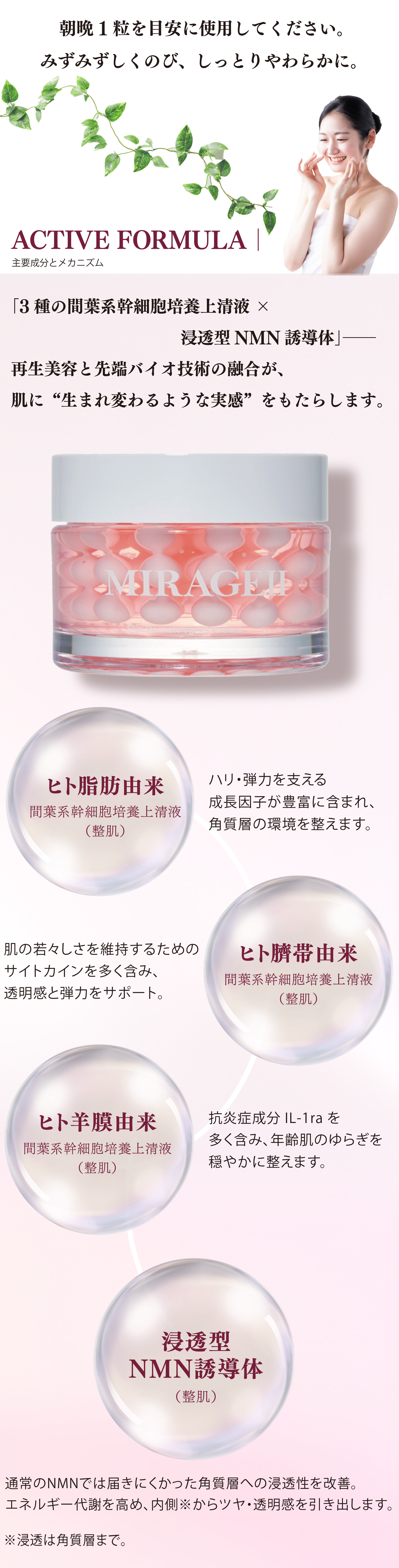 ACTIVE FORMULA|主要成分とメカニズム